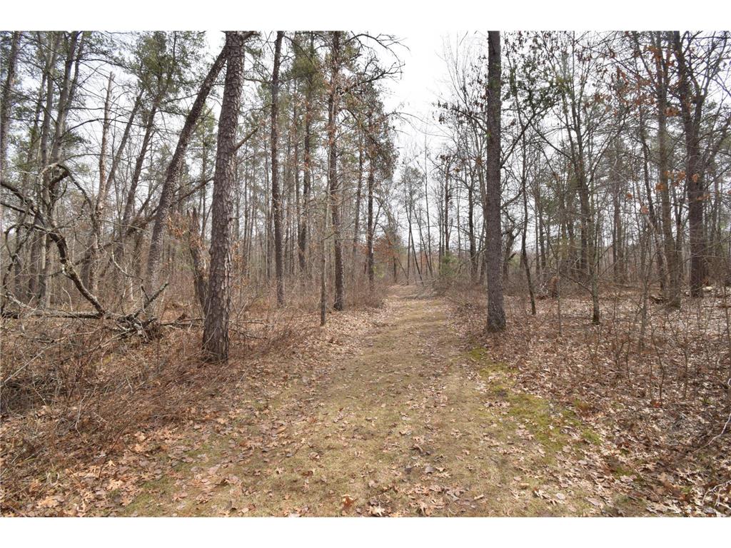 9274 Black Brook Road Lincoln Twp WI 54893 7048855 image45