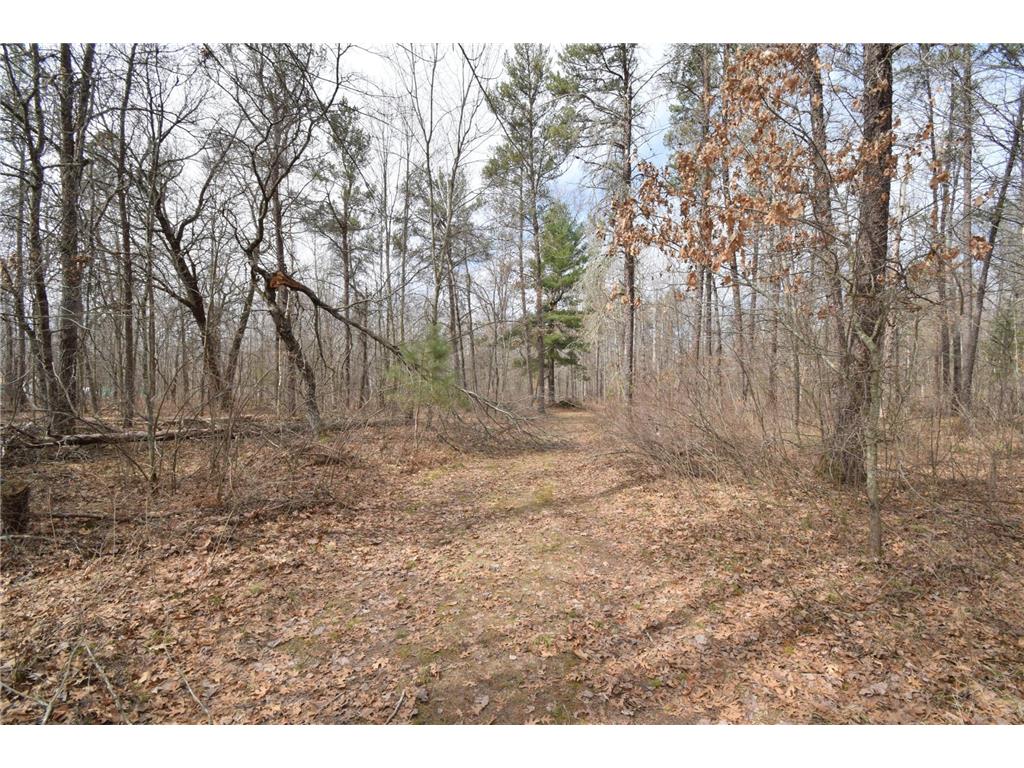 9274 Black Brook Road Lincoln Twp WI 54893 7048855 image46