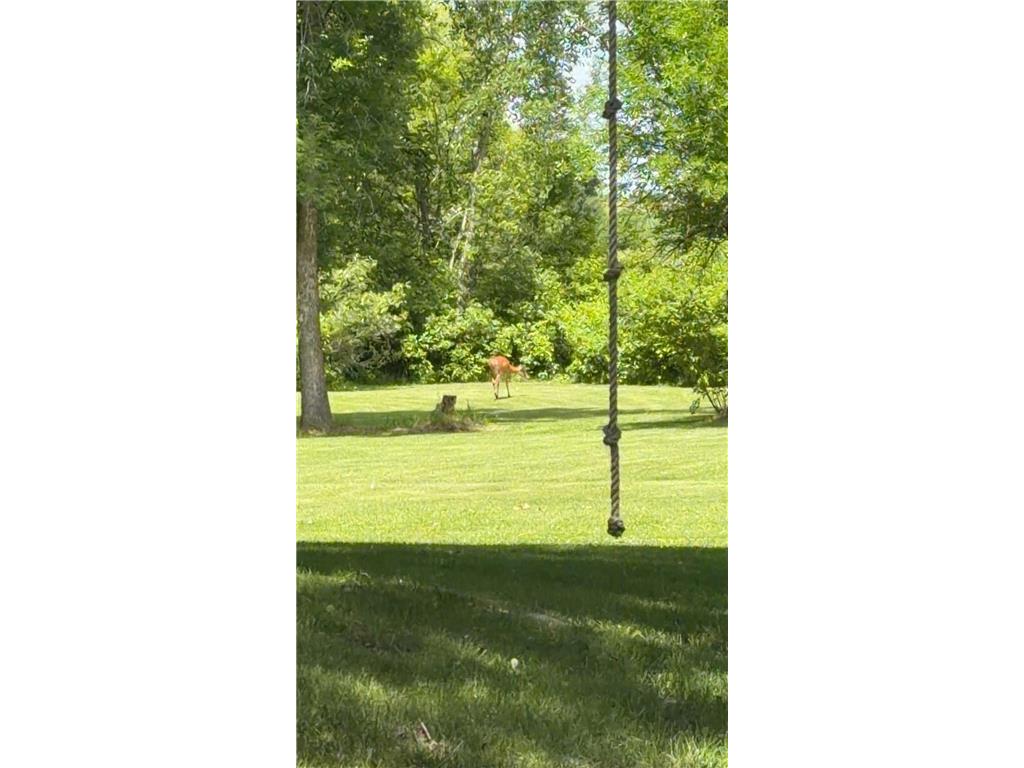 928 Reno Street Hawley MN 56549 7095541 image28