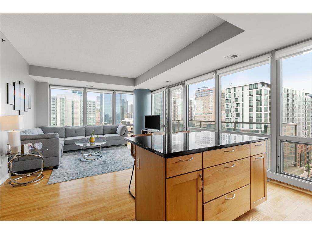 929 Portland Ave #1101 Minneapolis MN 55404 7083482 image8