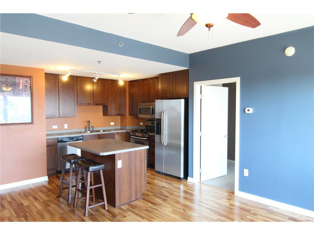 929 Portland Avenue #1002 Minneapolis MN 55404 6416262 image1