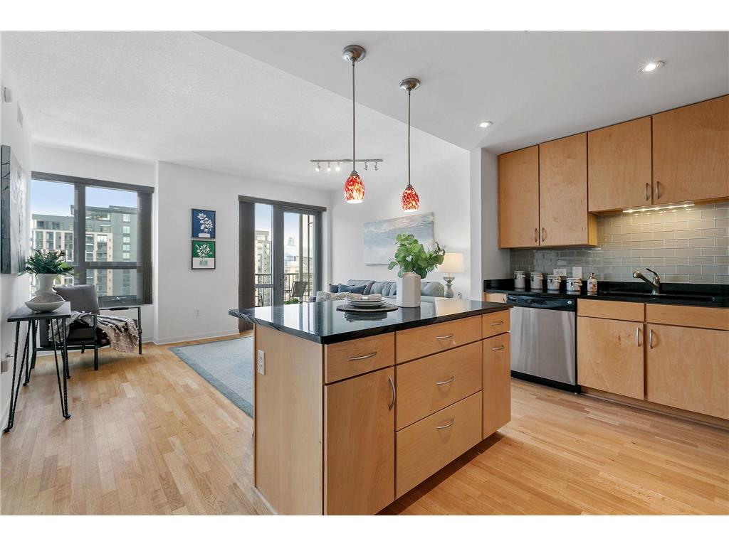 929 Portland Avenue #1003 Minneapolis MN 55404 6312066 image1