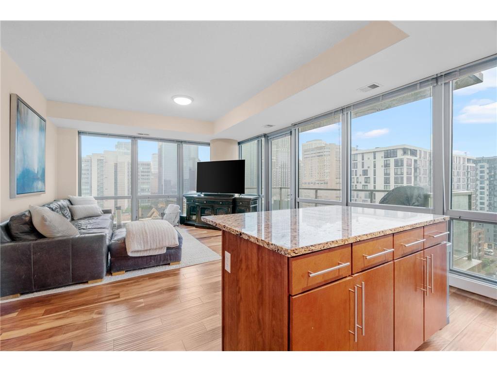 929 Portland Avenue #1301 Minneapolis MN 55404 6410157 image1