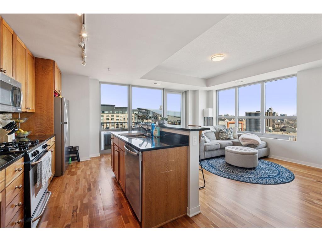 929 Portland Avenue #1305 Minneapolis MN 55404 6695414 image1