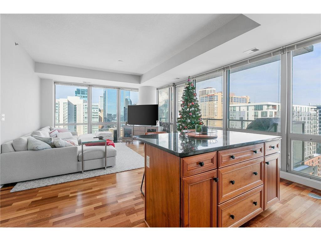 929 Portland Avenue #1501 Minneapolis MN 55404 6335573 image1