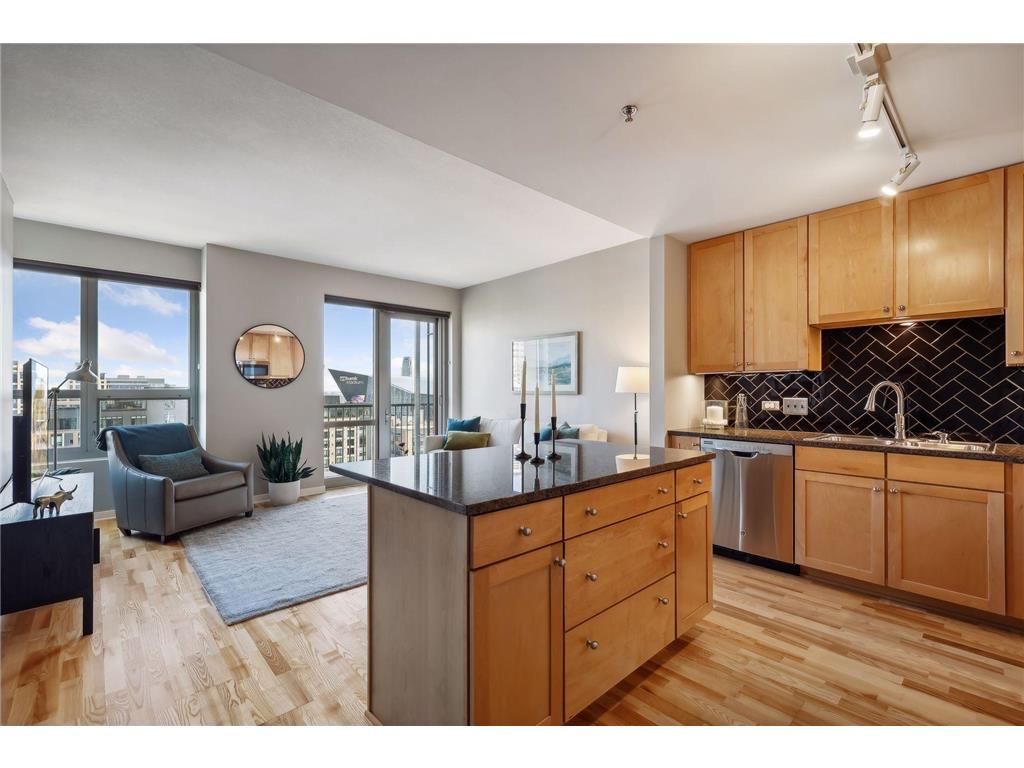 929 Portland Avenue #1703 Minneapolis MN 55404 6500150 image1