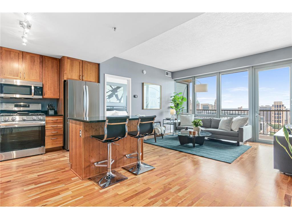 929 Portland Avenue #2002 Minneapolis MN 55404 6588658 image1