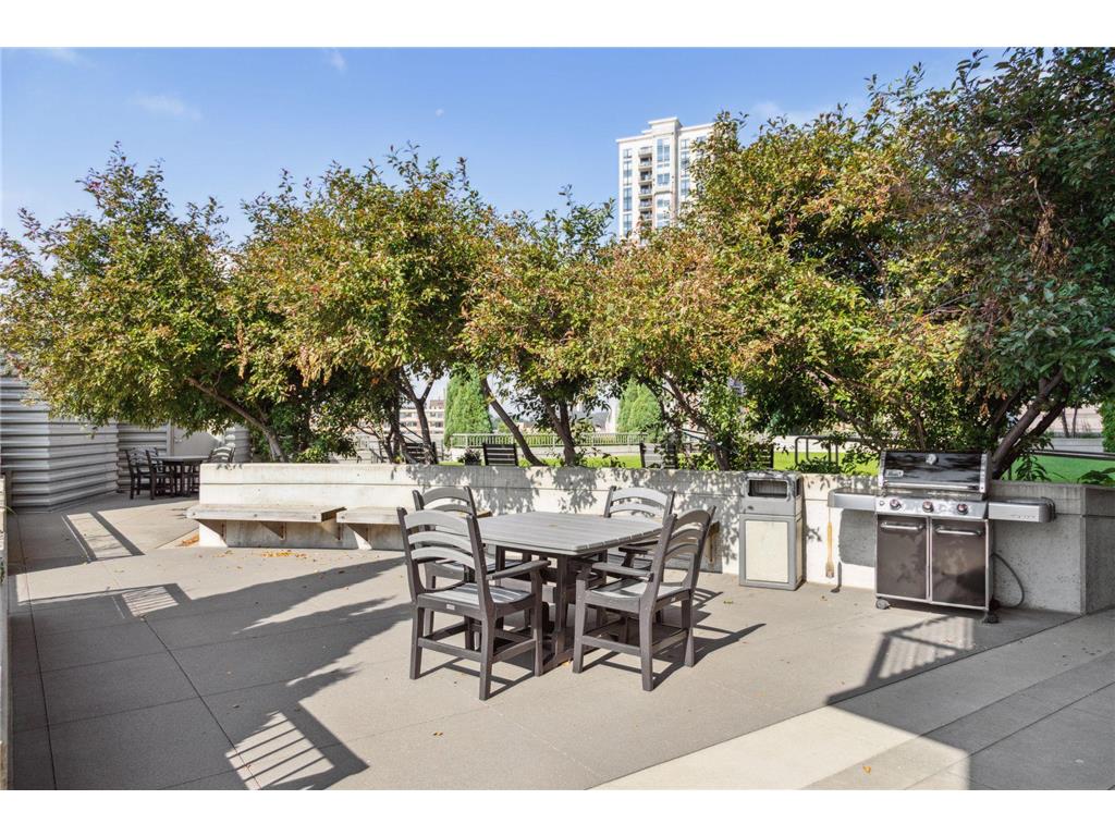 929 Portland Avenue #2007 Minneapolis MN 55404 7058457 image30