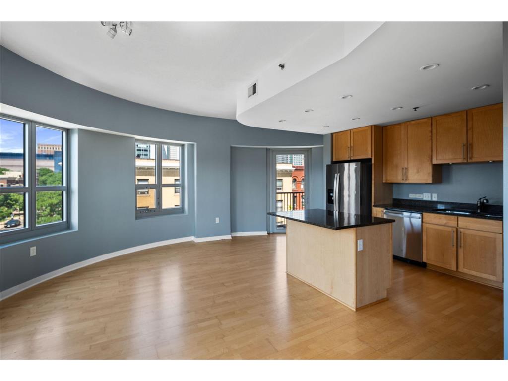 929 Portland Avenue #306 Minneapolis MN 55404 6582469 image1