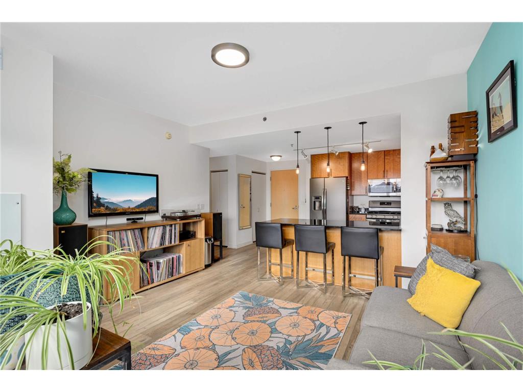929 Portland Avenue #309 Minneapolis MN 55404 7051435 image1