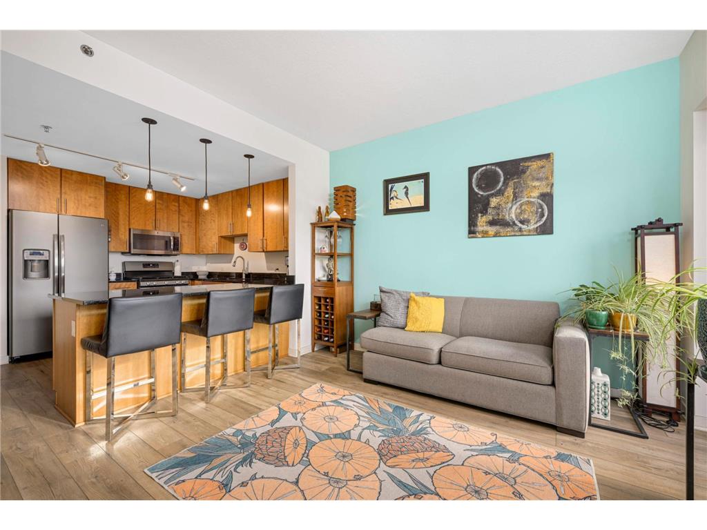 929 Portland Avenue #309 Minneapolis MN 55404 7051435 image2