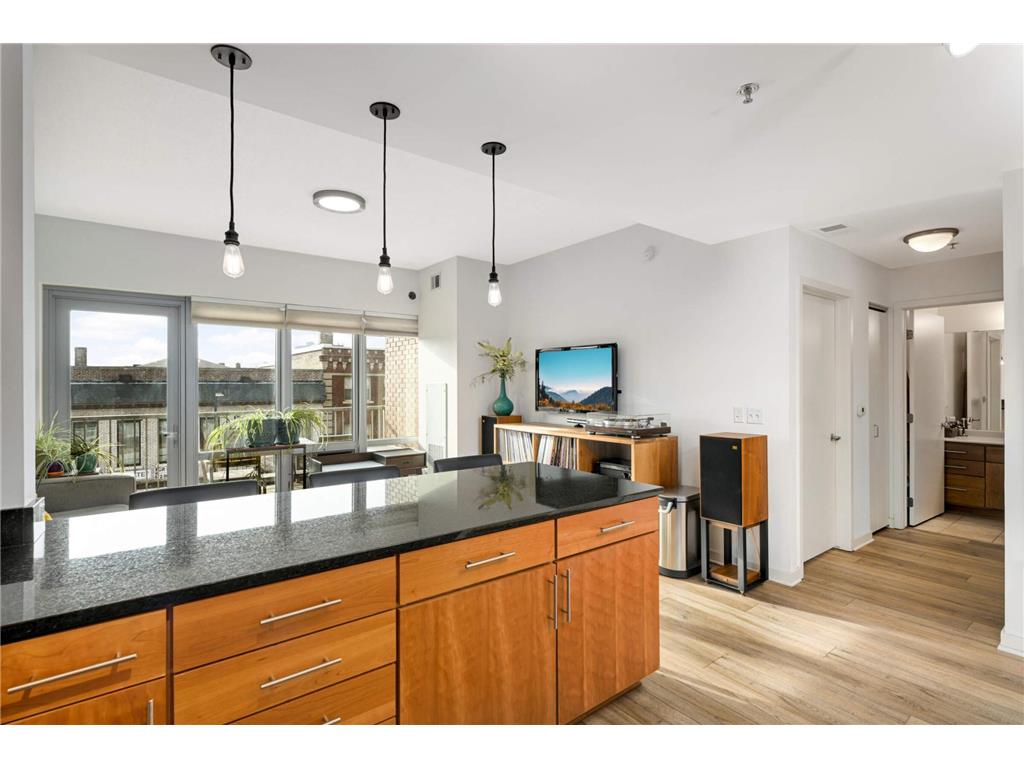929 Portland Avenue #309 Minneapolis MN 55404 7051435 image5