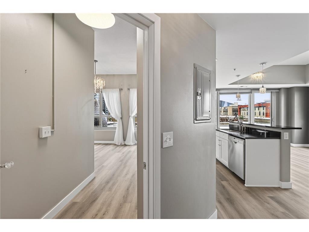 929 Portland Avenue #604 Minneapolis MN 55404 6818007 image17