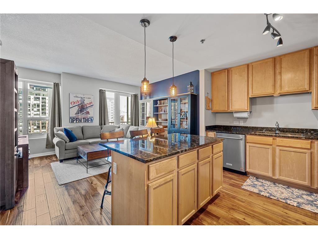 929 Portland Avenue #803 Minneapolis MN 55404 6610953 image1