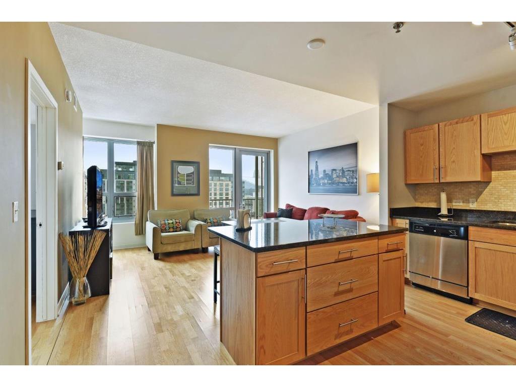 929 Portland Avenue S #1203 Minneapolis MN 55404 7093385 image1