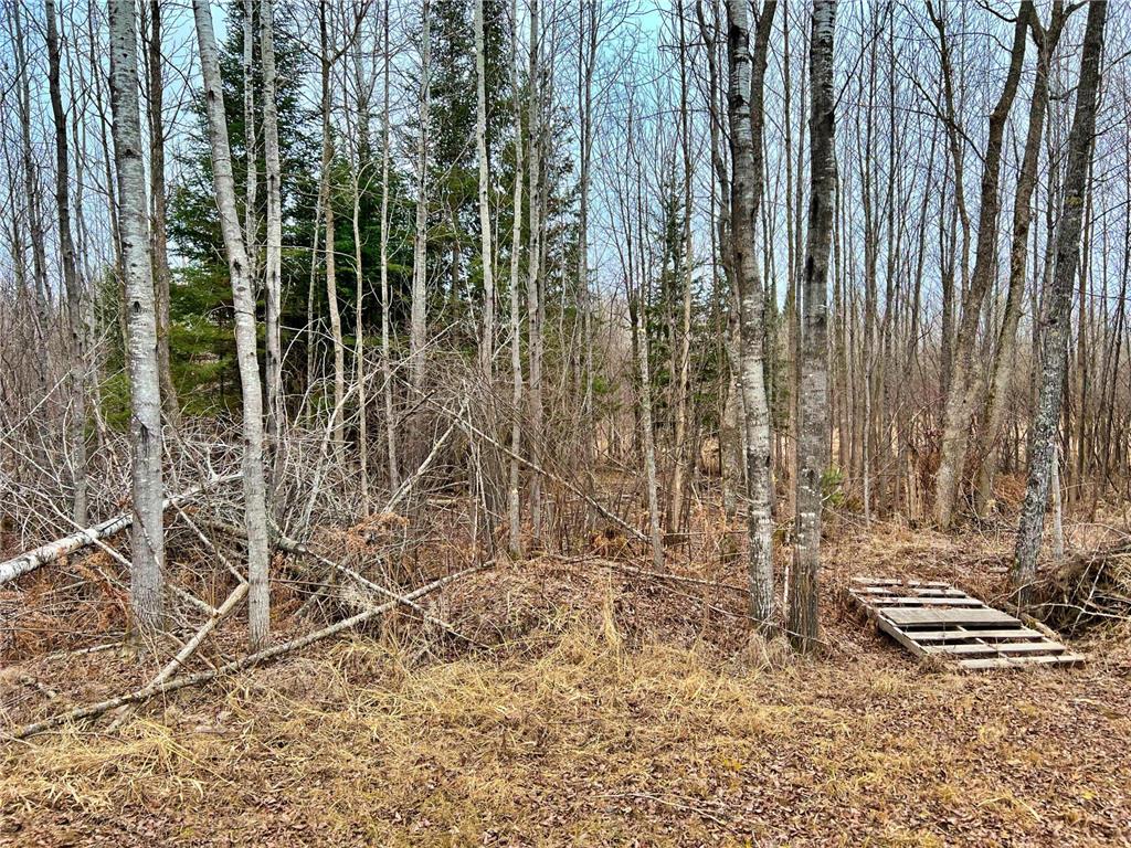 9298 Hingeley Road Toivola MN 55765 7046819 image20