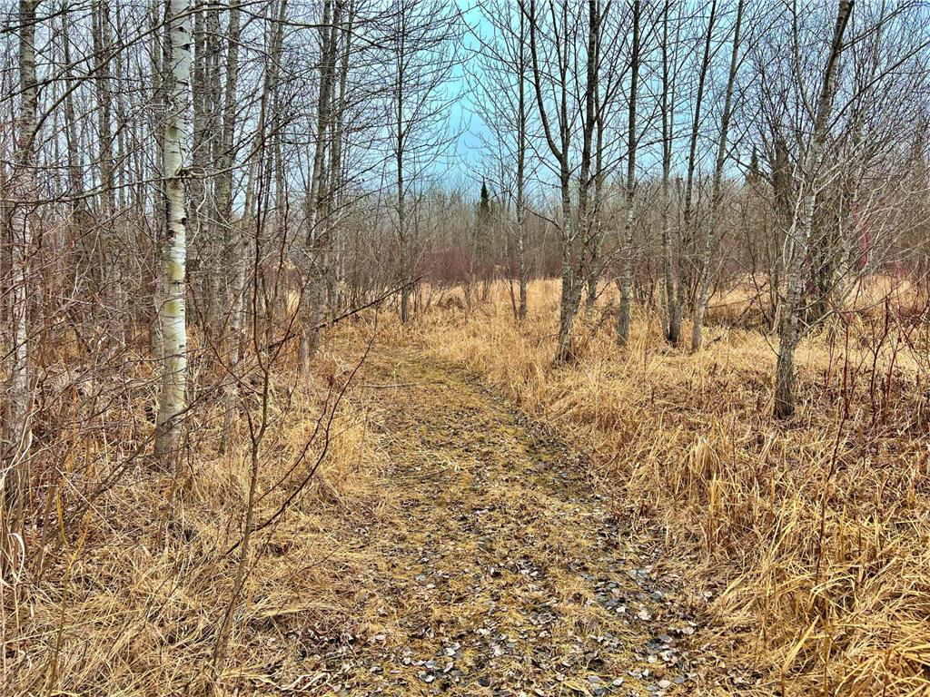 9298 Hingeley Road Toivola MN 55765 7046819 image23