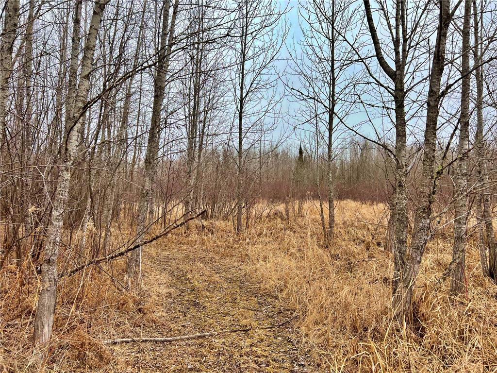 9298 Hingeley Road Toivola MN 55765 7046819 image24