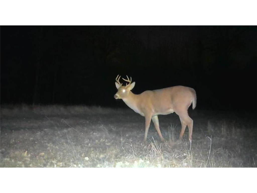 9298 Hingeley Road Toivola MN 55765 7046819 image36