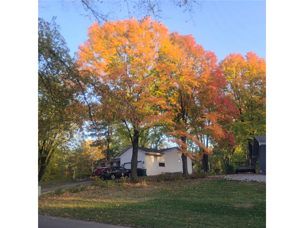 930 Dakota Avenue Orono MN 55356 7078634 image45