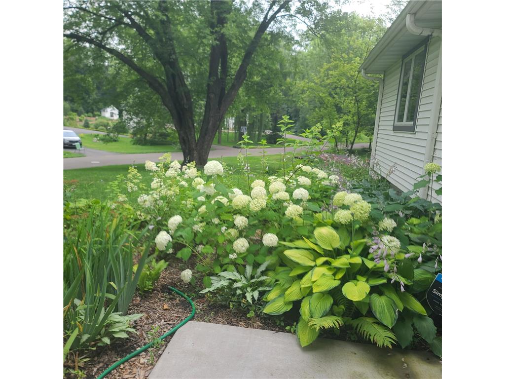 930 Dakota Avenue Orono MN 55356 7078634 image47
