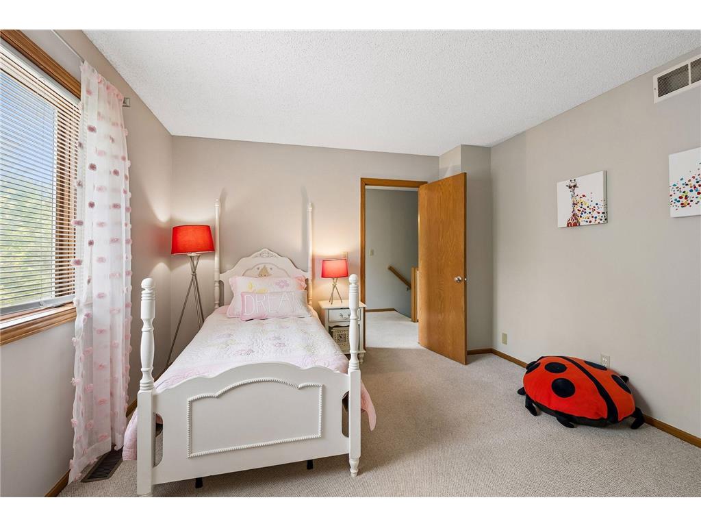 930 Dartmouth Place SE Minneapolis MN 55414 7073458 image33