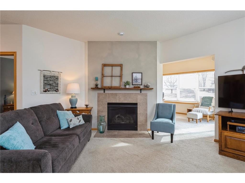 930 Serenity Circle Norwood Young America MN 55397 6681633 image1