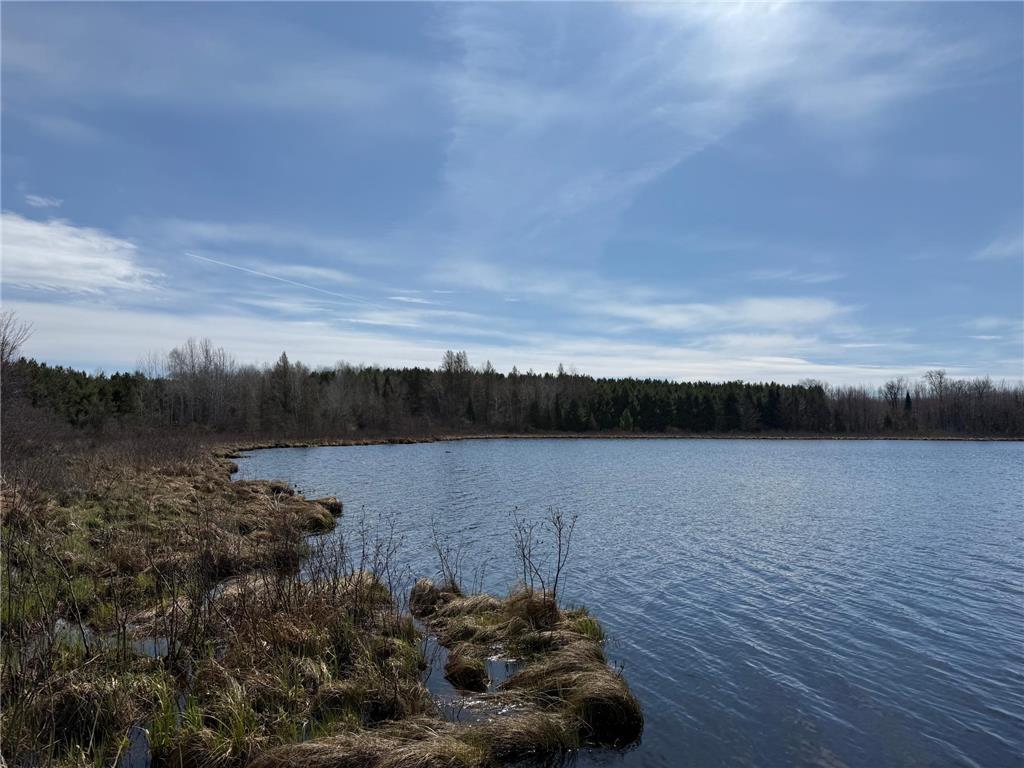 93001 DeLong Road Wrenshall MN 55749 - Delong 7066771 image19