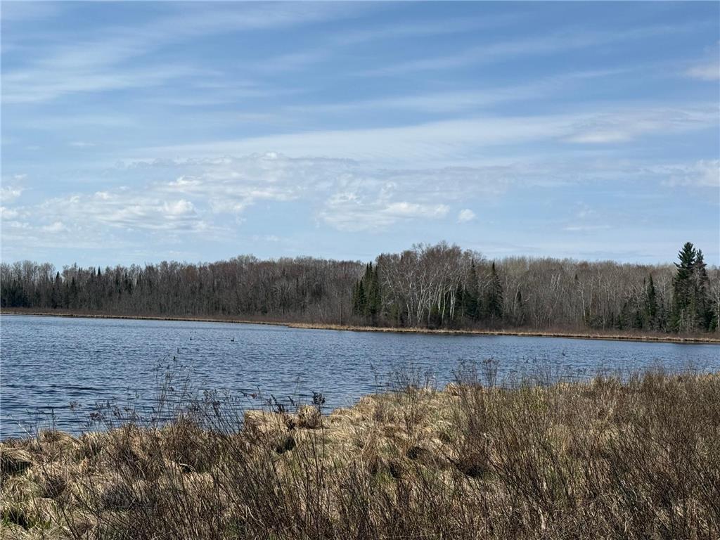 93001 DeLong Road Wrenshall MN 55749 - Delong 7066771 image20