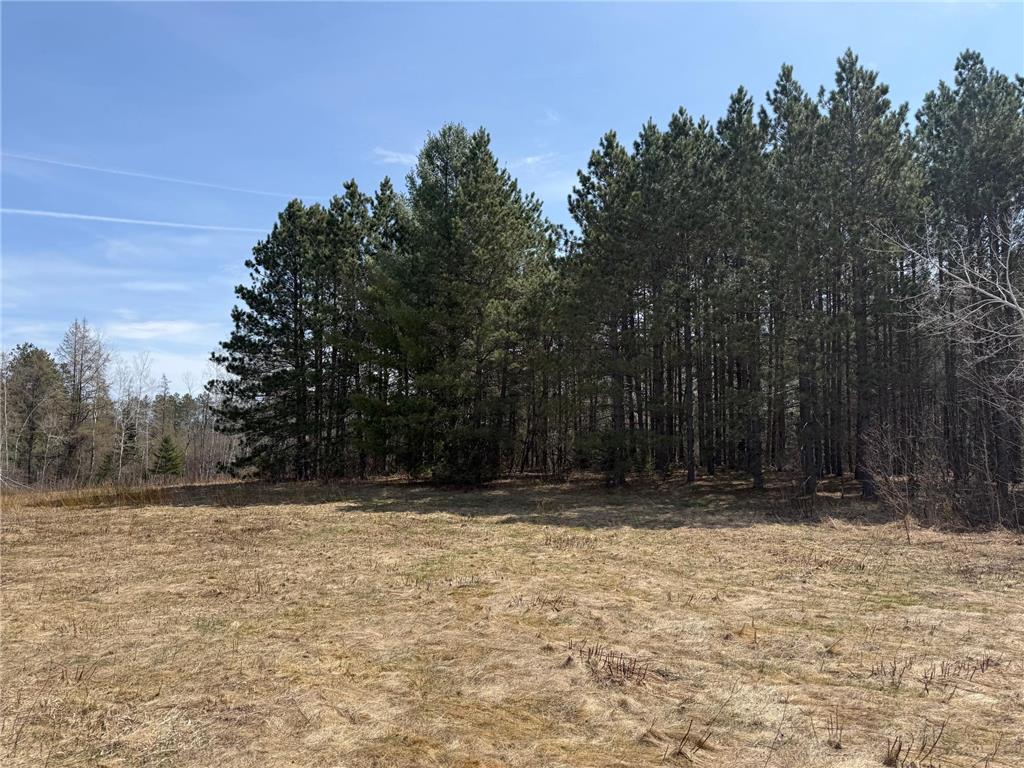 93001 DeLong Road Wrenshall MN 55749 - Delong 7066771 image27