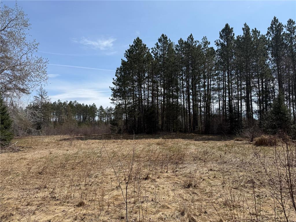 93001 DeLong Road Wrenshall MN 55749 - Delong 7066771 image28