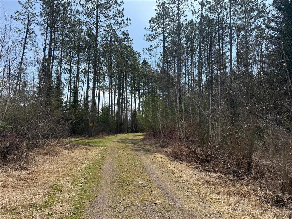 93001 DeLong Road Wrenshall MN 55749 - Delong 7066771 image29