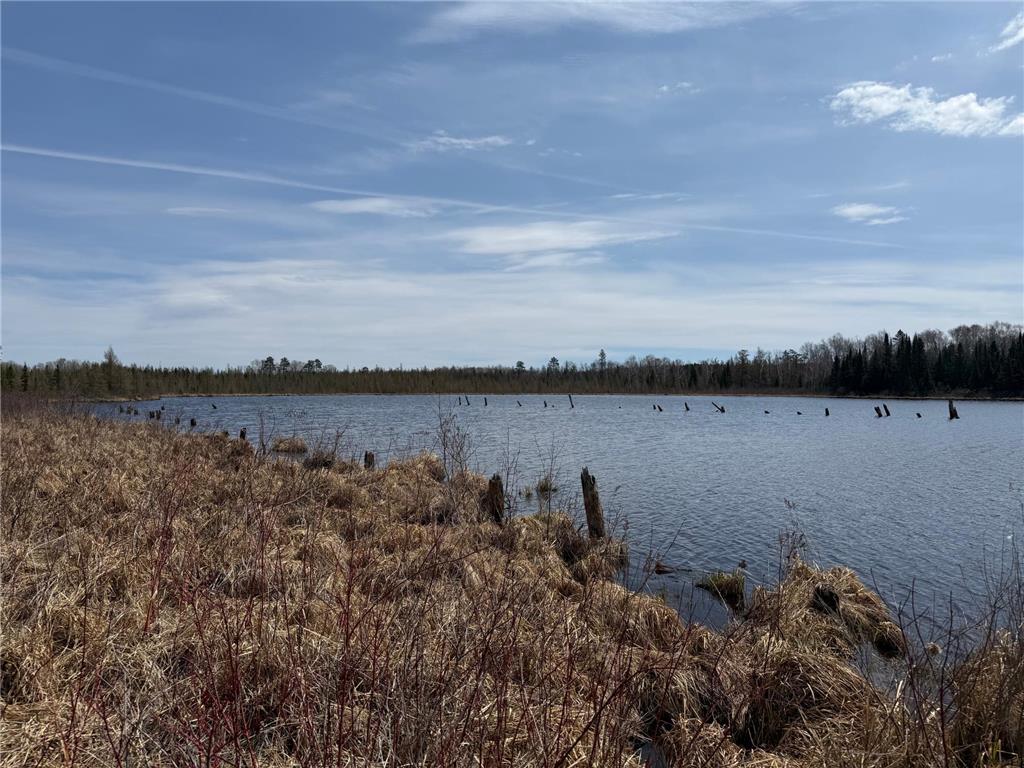 93001 DeLong Road Wrenshall MN 55749 - Delong 7066771 image36