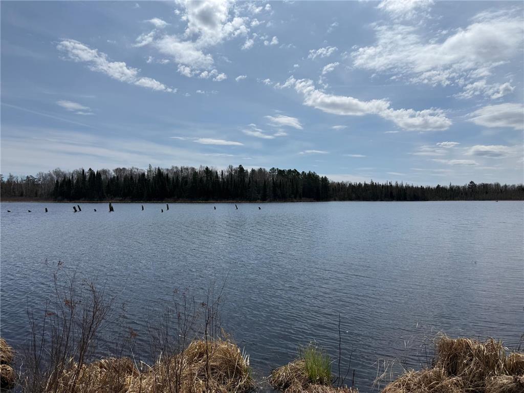 93001 DeLong Road Wrenshall MN 55749 - Delong 7066771 image37