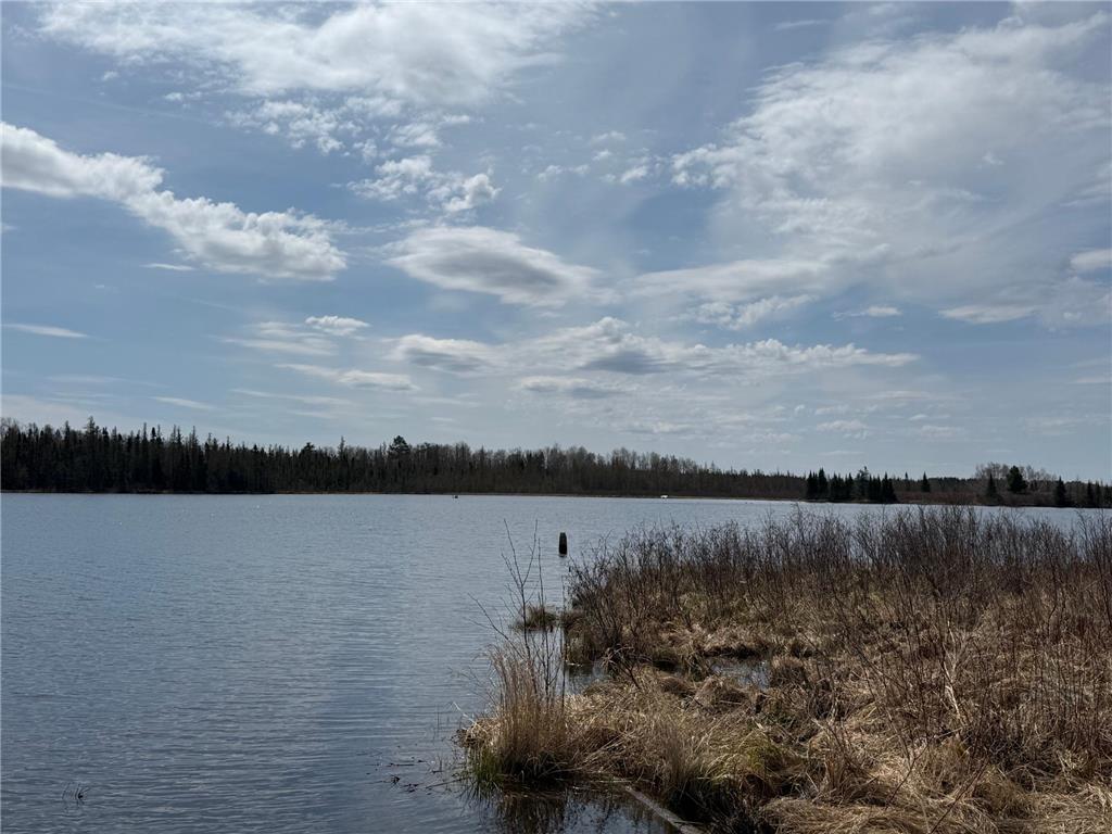 93001 DeLong Road Wrenshall MN 55749 - Delong 7066771 image38