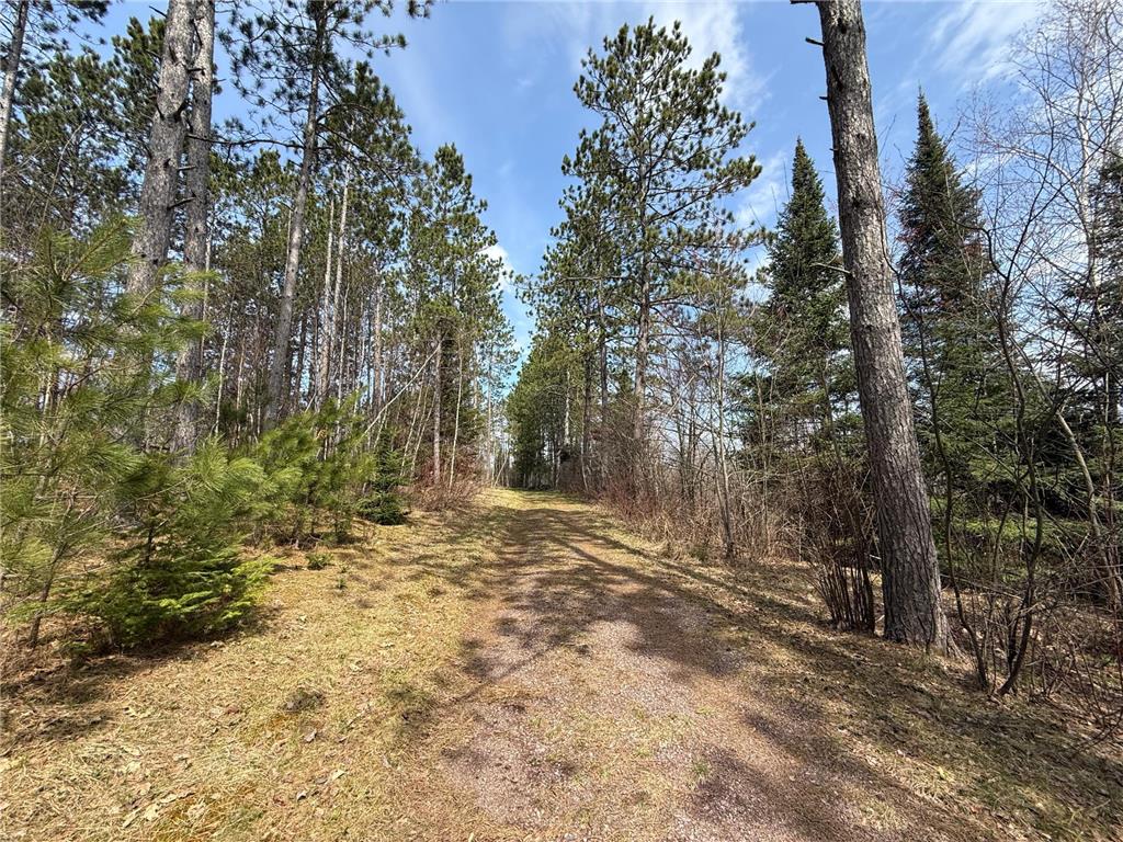 93001 DeLong Road Wrenshall MN 55749 - Delong 7066771 image39