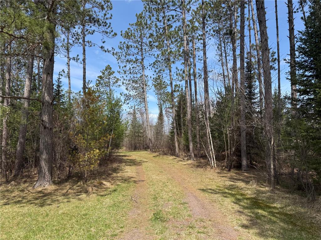 93001 DeLong Road Wrenshall MN 55749 - Delong 7066771 image42