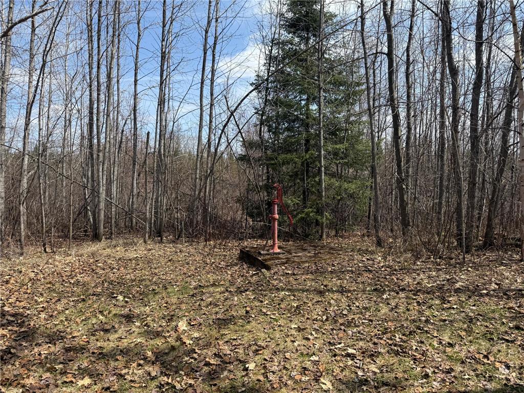 93001 DeLong Road Wrenshall MN 55749 - Delong 7066771 image43