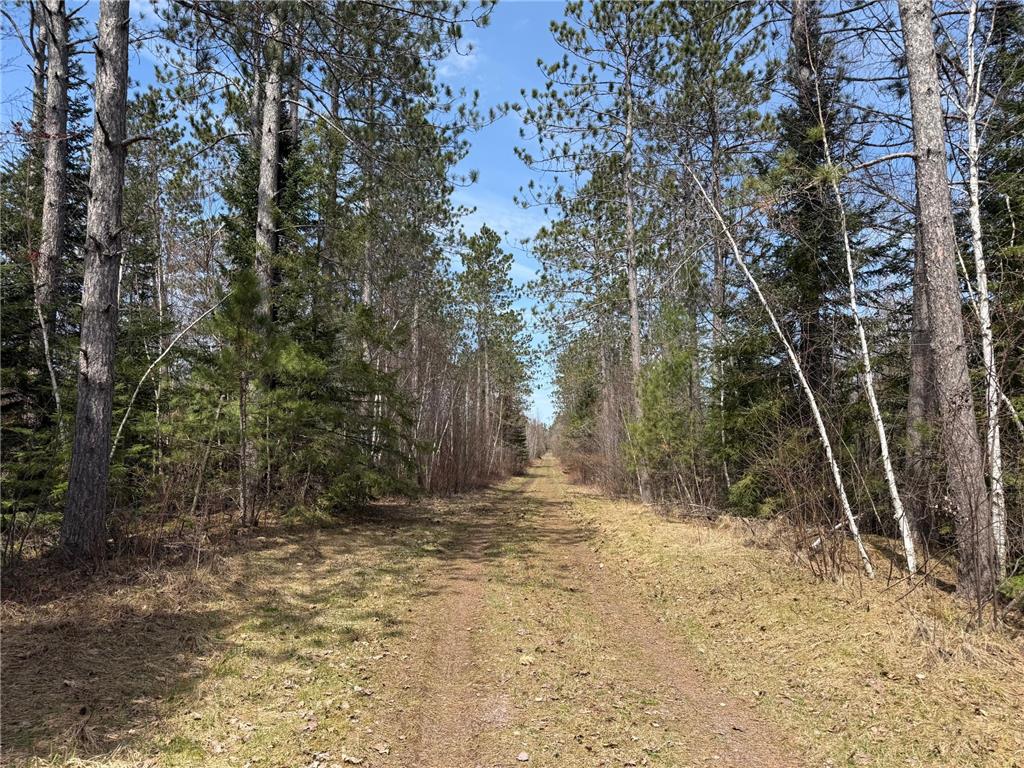 93001 DeLong Road Wrenshall MN 55749 - Delong 7066771 image44