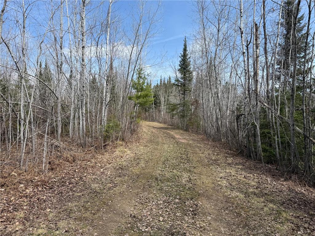 93001 DeLong Road Wrenshall MN 55749 - Delong 7066771 image45