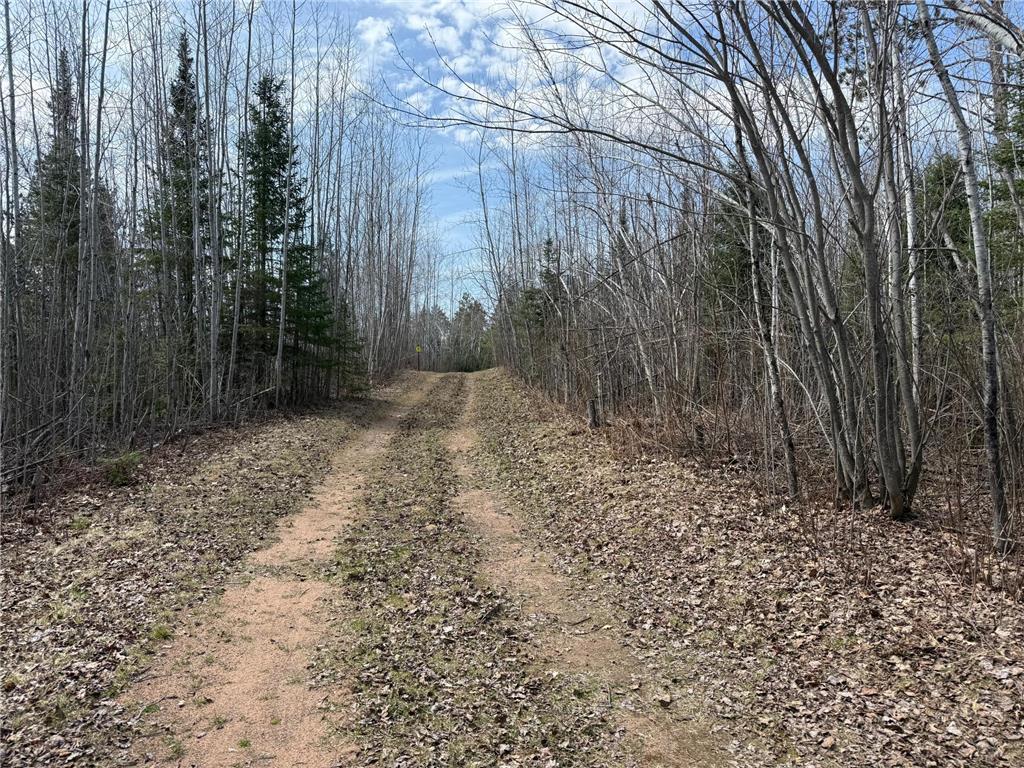 93001 DeLong Road Wrenshall MN 55749 - Delong 7066771 image46