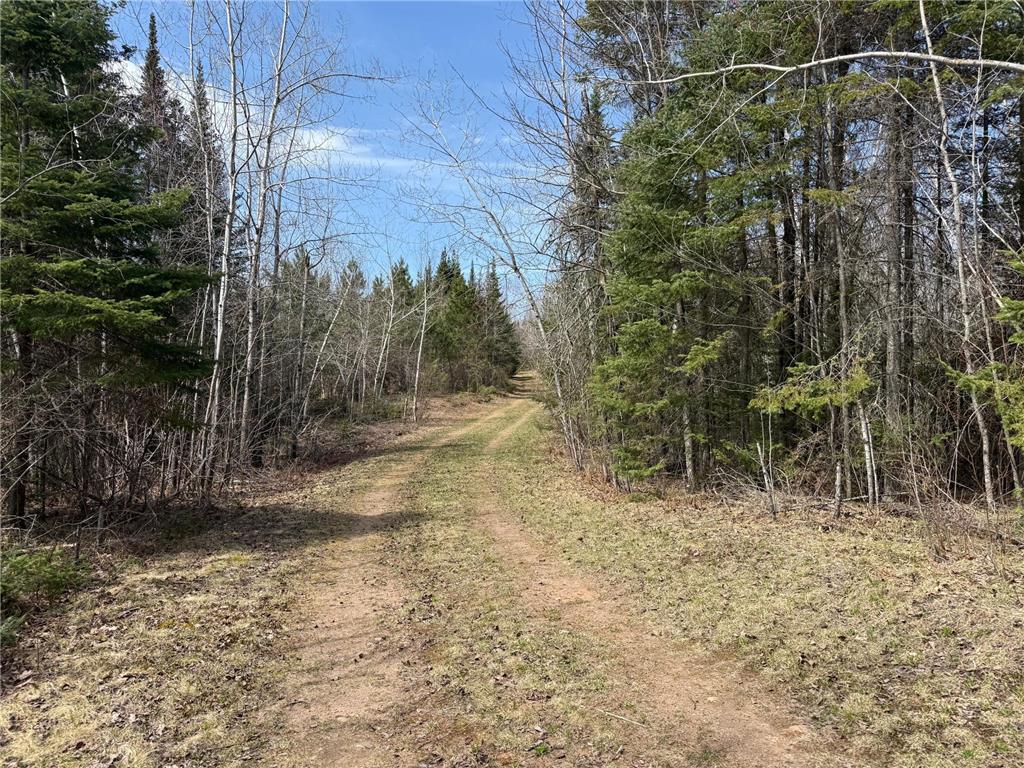 93001 DeLong Road Wrenshall MN 55749 - Delong 7066771 image47