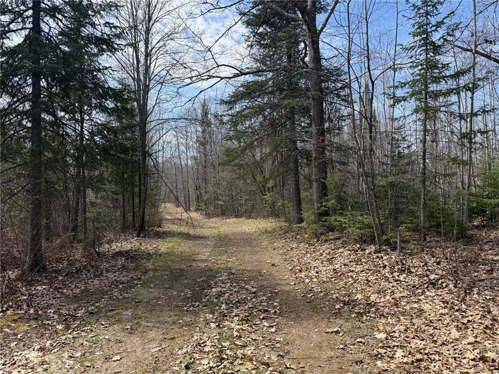 93001 DeLong Road Wrenshall MN 55749 - Delong 7066771 image48