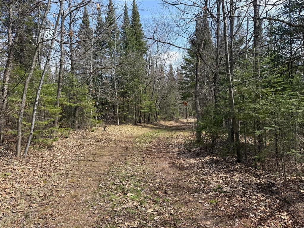 93001 DeLong Road Wrenshall MN 55749 - Delong 7066771 image49