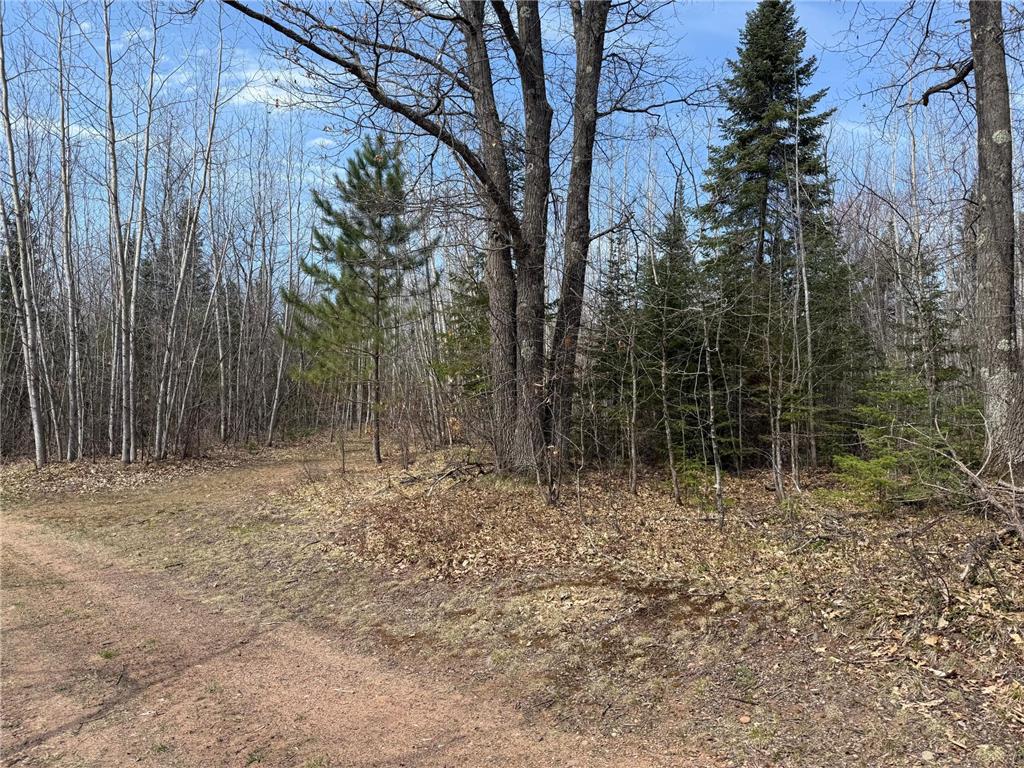 93001 DeLong Road Wrenshall MN 55749 - Delong 7066771 image50