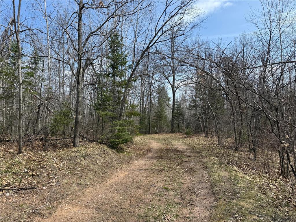 93001 DeLong Road Wrenshall MN 55749 - Delong 7066771 image51