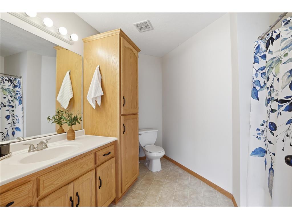 932 S Chestnut Street Belle Plaine MN 56011 7064510 image13