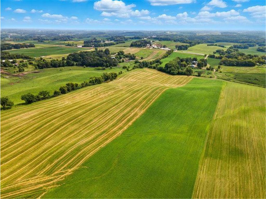 9320 Elmore Ave Lonsdale MN 55046 6771207 image65