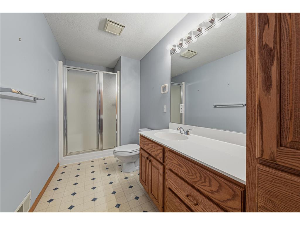 9327 Hillside Trail S Cottage Grove MN 55016 7069266 image37