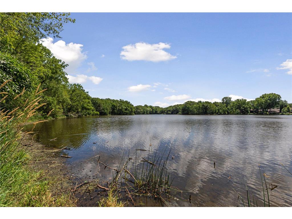 933 Edgewater Avenue Shoreview MN 55126 7070193 image32
